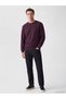 Timeless Clothing & Timeless Choices Zero Roba Collar Men's Sweatshirt - 2