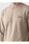 Timeless Clothing & Timeless Choices Zero Roba Collar Printed Men's Thick Sweatshirt - 3