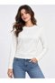 Women's Crew Neck Long Sleeve Basic Blouse