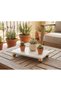 Decorative Marble Organizer Bathroom Coffee Table Top Makeup Organizer Tray Model Gold Color Ball Footed Marble - 2
