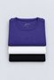 Women's Modal Ribbed (Pack of 3) T-Shirt Purple-Ecru-Black