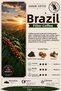 Brazil and Guatemala Filter Coffee Set 2X250 g 500 g Ground 100% Arabica for French Press - 3