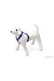 Spt-Gld Dog Chest Harness L (234522) Blue 65-100X2.5 - 2