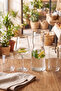 Avantgarde Gold 13 Piece Water and Soft Drink Glass, Goblet, Carafe Set