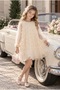 Baby Girl and Child Rose Embossed Tulle Detailed Birthday and Special Occasion Dress with Tulle Sleeves