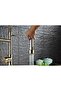 Kitchen Sink Faucet Gold Gold New Design with Fountain - 4