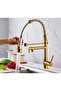 Kitchen Sink Faucet Gold Gold New Design with Fountain