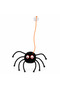 Spider Cat Toy |   Rattling Spider Cat Fishing Rod