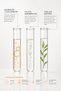 Intense Moisture Sunscreen |   Intensive Moisturizing Sunscreen - 3