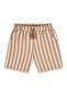 Boy's Set Tiger Printed 100% Cotton T-Shirt Striped Woven Shorts Summer Set - 8