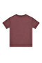 Boy's Set Tiger Printed 100% Cotton T-Shirt Striped Woven Shorts Summer Set - 7
