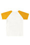 Roarsome Dino Boys Summer T-Shirt Capri Shorts Set - 7
