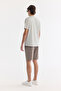 Men's Gray Crew Neck Printed Viscose Blended Bi-Stretch Regular Fit T-Shirt A61Y1160 - 4