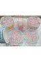 Large Size Quality Transparent Colored Mesh Rubber Buckle in a Box - 2