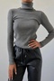 Anthracite Grey Premium Cotton Turtleneck Camisole Raster Slimfit Turtleneck Sweater - 2