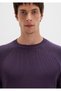 Crew Neck Purple Sweater Regular Fit / Regular Cut 0710307-70688 - 7