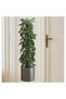 Plant Design Adhesive Sticker Picture 90*30 cm - 2