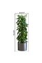 Plant Design Adhesive Sticker Picture 90*30 cm - 4