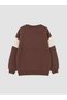 Brown Color Blocked Boys' Thick Sweatshirt - 4