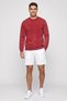 Men Sportswear Fit Long Sleeve Outdoor Sweatshirt, Red - 2