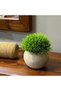 وعاء نباتات اصطناعية - 2