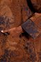سترة بنية اللون ذات نسيج مميز مع حزام 1414 - 4