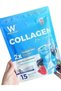 Collagen Blue Hyro Drink – 1000 mg Collagen Type II with Ceramide, 15 Sachets