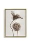 Abstract Beige Nature Still Life Nature Wall Art | Portrait Framed Canvas Print | Luxury Modern Botanical Decor for Living Room - 2
