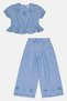 Toddlers Girl 2 Pcs Chambray Top And Pants Set, Light Blue - 2