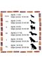 Glbl-Tsti̇l4136 Xsmall Size Pet Diaper - Ultra Absorbent - Quick Drying - 5