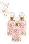 3 Pieces Perfume 100ML