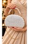 Oyster Pearl Stone Evening Dress Bag Evening Dress Bag Handbag Wedding Engagement Pearl Handle and Chain