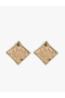 Stone Network Earrings