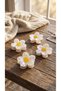 Daisy Figured Latch Buckle - 4
