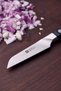Knife for vegetables, 9 cm, Pro - - 7
