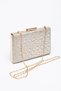 Women's Pointed Toe Shiny Evening Shoes and Bag - 7