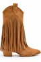 Wi̇llow Tasseled Thick Heeled Women's Cowboy Boots