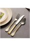 Hisar Infinity 8Set of 4 12-Person Cutlery Set with Antique Gold Finish - 3