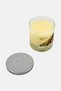 Orchard Pear Medium Candle Jar 260g - 2