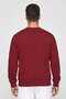 Men Sportswear Fit Graphic Print Outdoor Sweatshirt, Maroon - 4