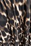 Belted Leopard Skirt - 5