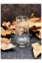 4 Pieces Leafy Long Drink Glass Set 450 Ml Clear - 2