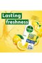 Washing Machine Cleaner Liquid, Lemon Fresh – Removes Odour & Limescale, Hygienic Clean, Suitable For All Machines – 250 ml (Pack of 6) - 5