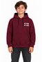 31510-26 Men's Chest and Back Printed Kangaroo Pocket Hooded Sweatshirt 9–12 Years - 2