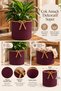 Nevrisa 30X30 cm Multi-Purpose Decorative Woven Basket - Flower Pot - Flower Pot Cover - Home Office Bathroom Living Room Plant and Item Organizer - 3