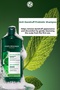 Soothing Prebiotic Shampoo-Against Dandruff/Anti Pelliculaire-Sls,Sles-Free,Salt-Free,Vegan-300Ml - 2