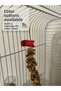 Bird Cage Branch Millet Holder - Vegetable Holder - 2 Piece Set Bird Feeder