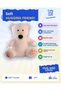 60 cm Sitting Bear White 6190