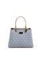 Women's Hand and Crossbody Bag 1098