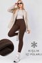 Women's Winter High Waist t Shaping / Sculpting Leggings with Fleece Inside